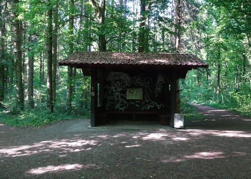 MTB Königstuhltour über Meckesheim
