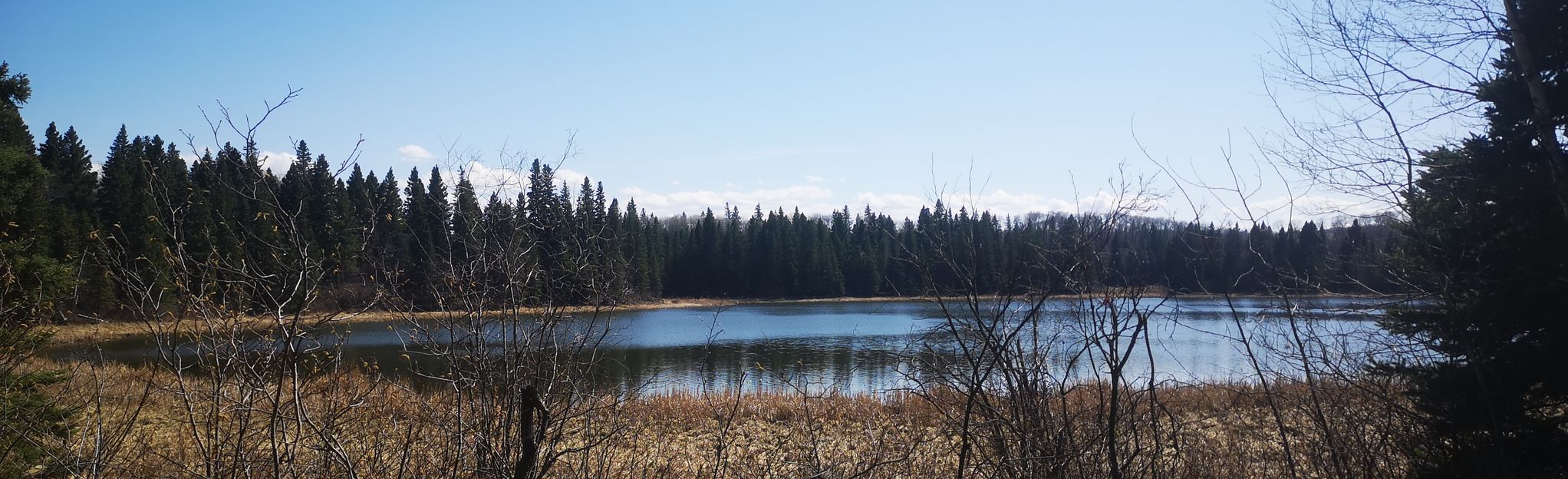 Moose Lake, Ski Hill Shelter, Sergeant Lake Loop via Batka Lake ...