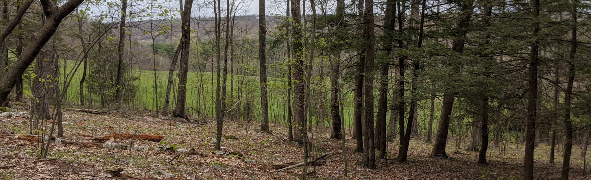 Town of Canton Property Loop, Connecticut 27 Reviews, Map AllTrails