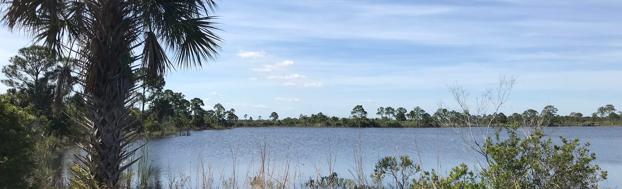 Jordan Scrub Sanctuary Trail, Florida 102 Reviews, Map AllTrails