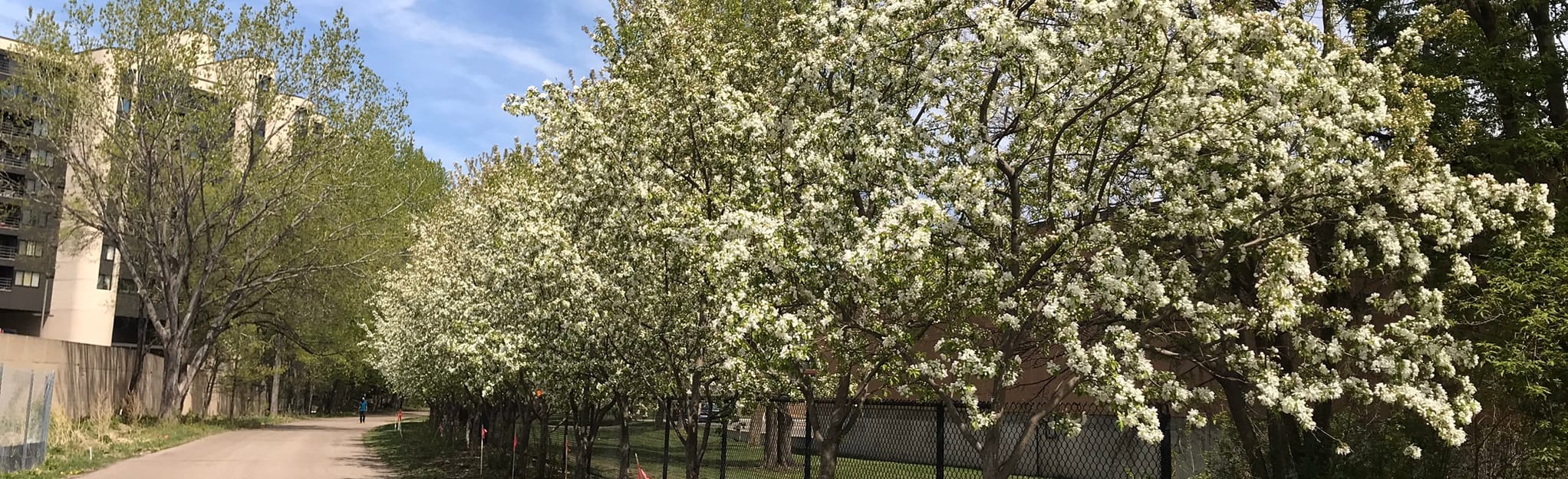 Midtown Greenway 235 Reviews - EyJidWNrZXQiOiJhc3NldHMuYWxsdHJhaWxzLmNvbSIsImtleSI6InVwbG9hZHMvcGhvdG8vaW1hZ2UvMjYzMDg4NjAvZDk2YzlkNjY2YTJmY2QxODkzMjU4NGIwOGNjYzJmYmUuanBnIiwiZWRpdHMiOnsidG9Gb3JtYXQiOiJqcGVnIiwicmVzaXplIjp7IndpZHRoIjoyMDQ0LCJoZWlnaHQiOjYyNCwiZml0IjoiY292ZXIifSwicm90YXRlIjpudWxsLCJqcGVnIjp7InRyZWxsaXNRdWFudGlzYXRpb24iOnRydWUsIm92ZXJzaG9vdERlcmluZ2luZyI6dHJ1ZSwib3B0aW1pc2VTY2FucyI6dHJ1ZSwicXVhbnRpc2F0aW9uVGFibGUiOjN9fX0=