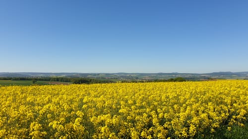 Forsthaus Hübental-Breitenbach