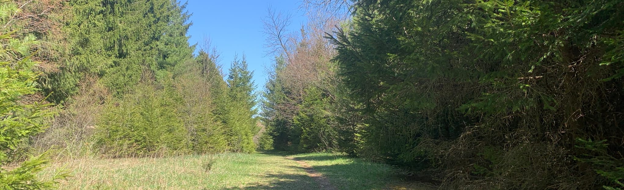 Glenbeulah to Parnell via Ice Age Trail Mapa, Roteiro Wisconsin