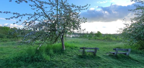 Groß Grönau nach Beidendorf