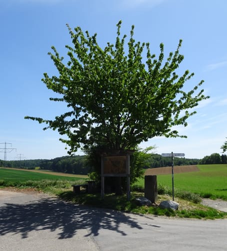 MTB: Unterschwarzach
