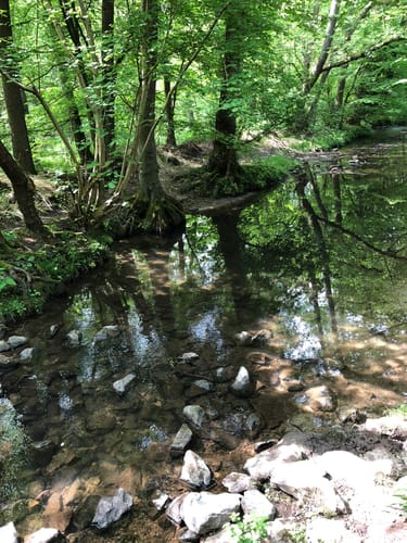In der Ohligser Heide