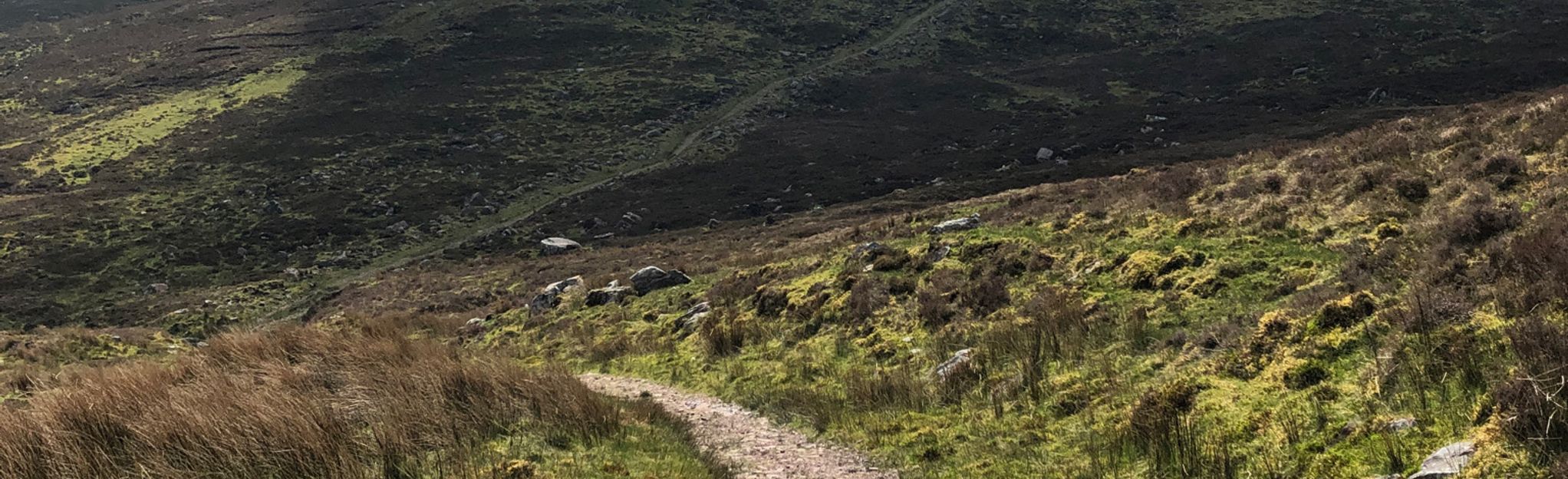 AllTrails | Greenane Loop: 12 Reviews, Map - County Tipperary, Ireland