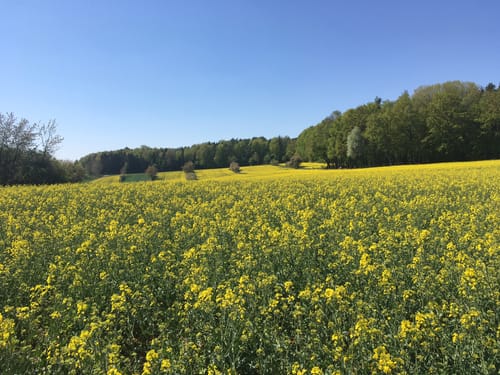 Kleine Runde bei Köstl