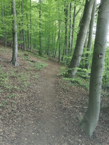 H1 Breuna - Um den Berg der Fee (Extratour)