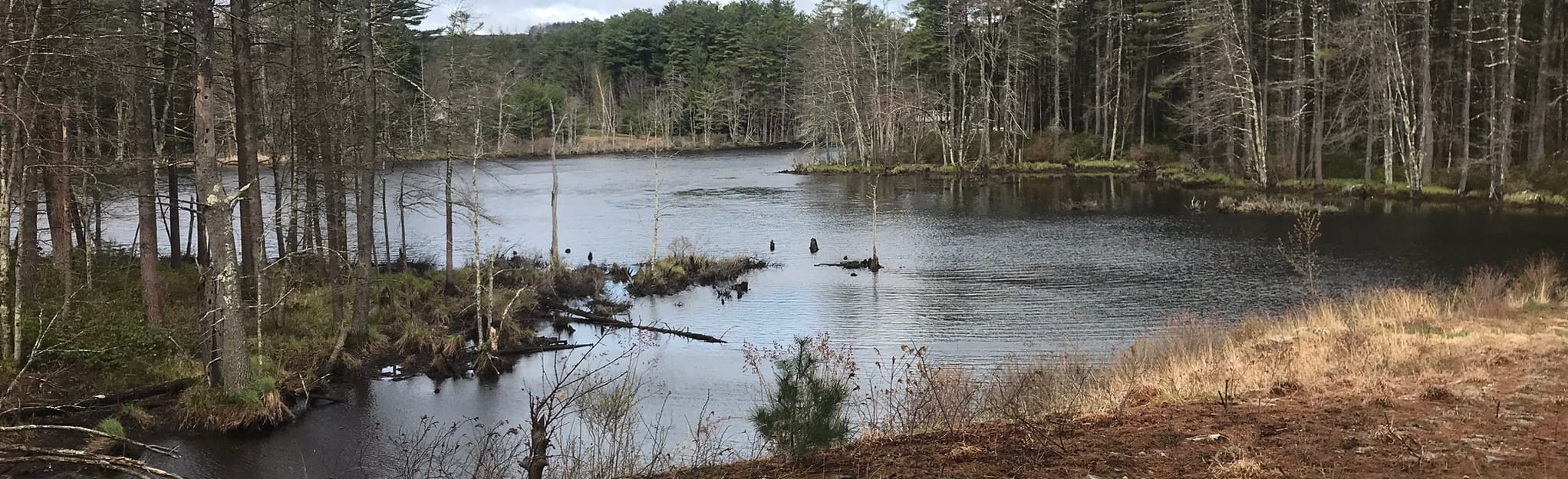 Mason Railroad Trail to Quarry Loop New Hampshire AllTrails