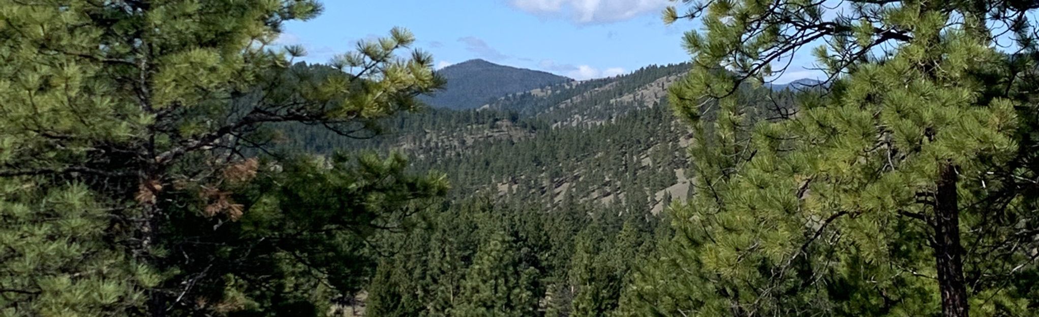 Dry Gulch Short Loop, Montana 125 Reviews, Map AllTrails