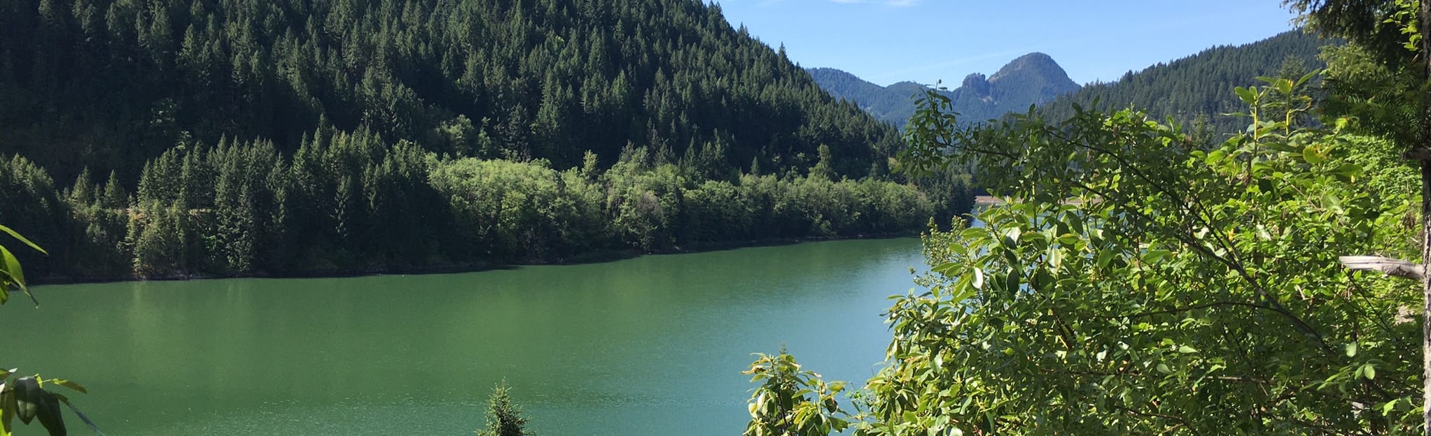 Blue River Lake North East trail 23 Reviews, Map Oregon AllTrails