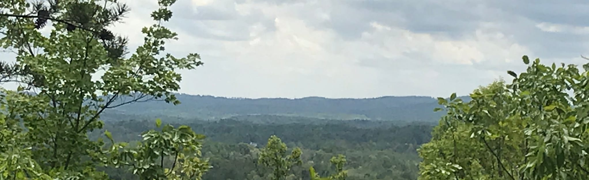 Grassy Hill Slope Trail [CLOSED], Virginia 136 Reviews, Map AllTrails