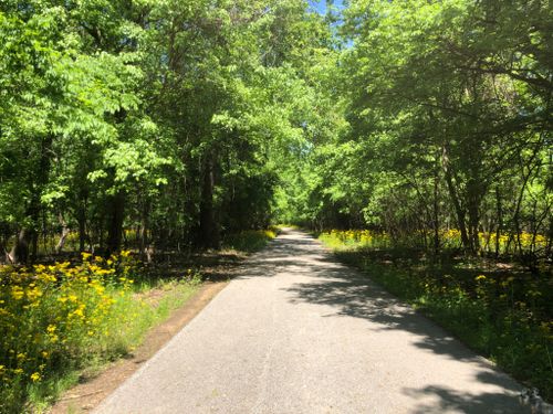 Best Hikes and Trails in Arnold City Park | AllTrails