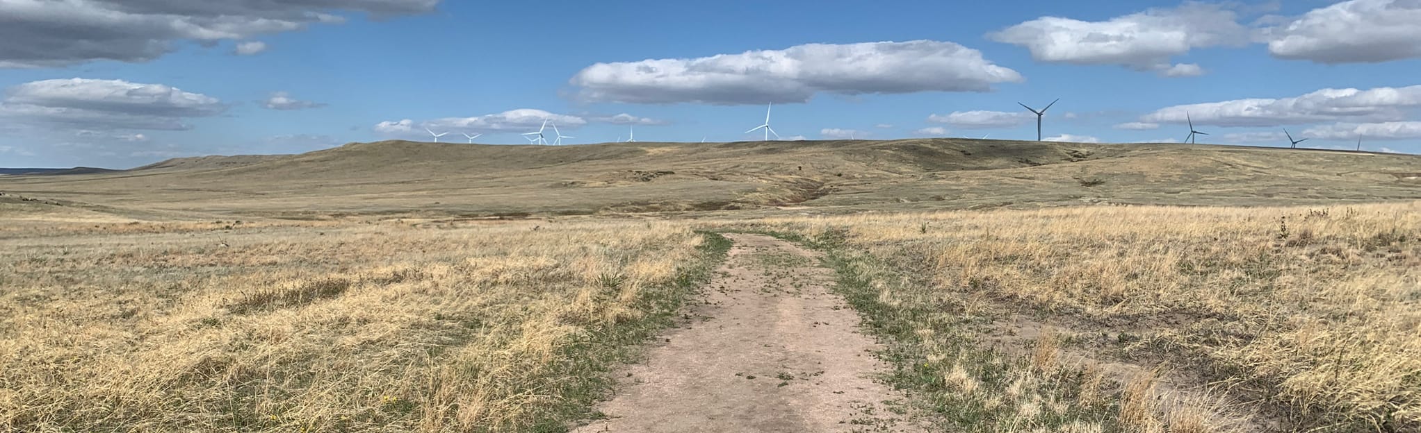 Paint Mines Trail, Colorado 1,842 Reviews, Map AllTrails