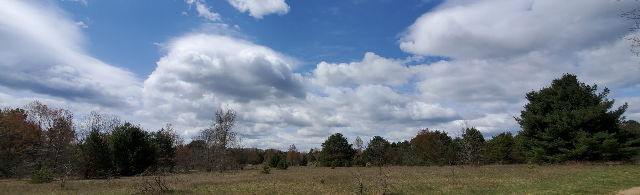 Richfield County Park 45 foto Michigan AllTrails