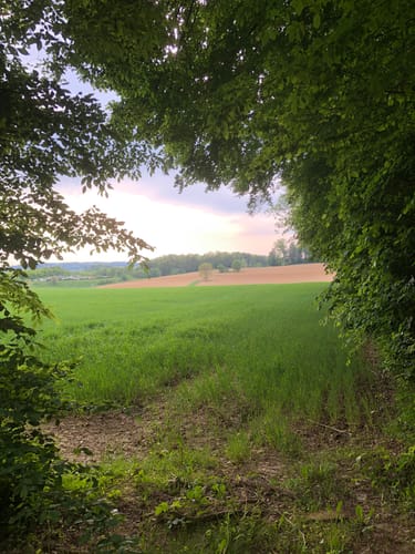 Kleine Waldrunde bei Lörrach