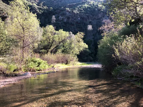 10 Best Trails and Hikes in Los Olivos | AllTrails