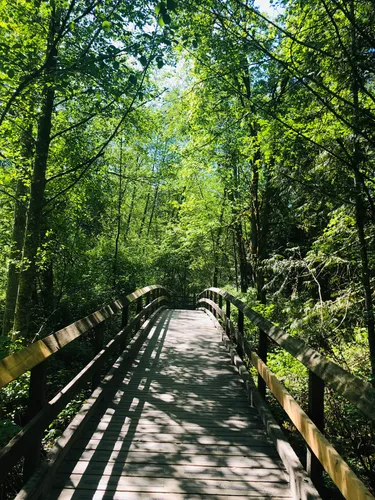 Best Hikes and Trails in Tynehead Regional Park | AllTrails