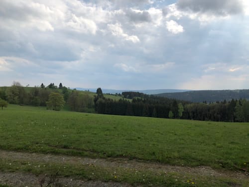 Wiesen-Panorama-Weg