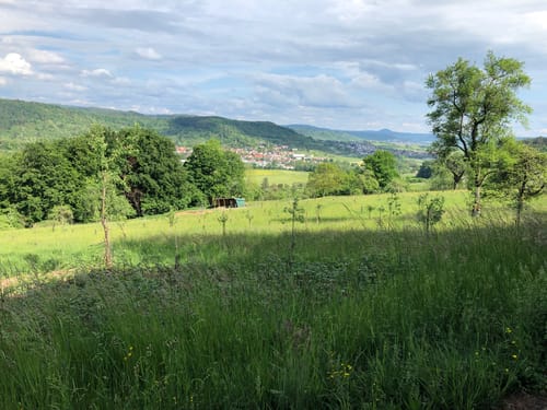 Im Wieslauftal (Jubiläumsweg 2. Etappe)