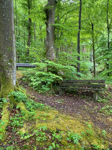Eybach- Waldhausen