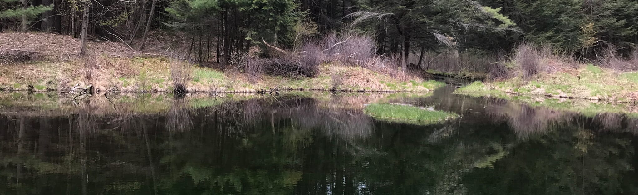 Pleasant Valley Reservoir Trail, Vermont - 31 Reviews, Map | AllTrails