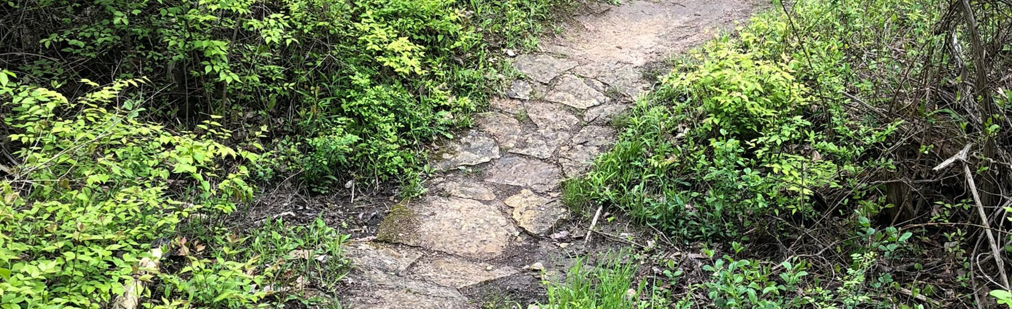 metroparks mountain biking area