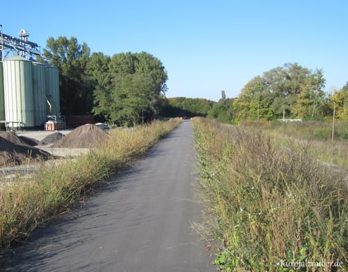 MTB Rauenberg - Waghäusel - Herrenteich - Reilingen 