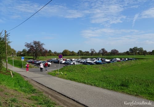 MTB Rauenberg - Waghäusel - Herrenteich - Reilingen 