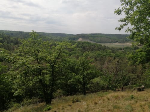 Bad Freienwalde: Schloßpark und Thüringer Blick