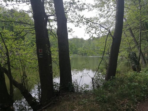 Schloßberg und Teufelssee Kietze