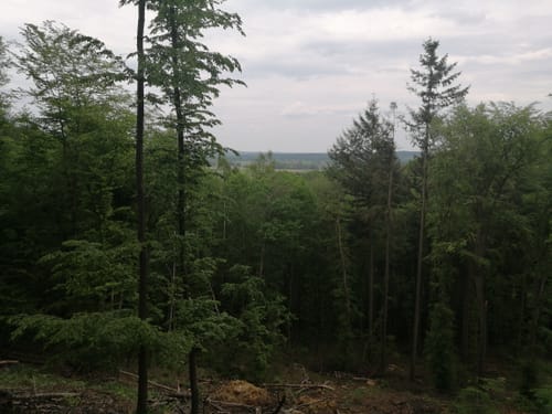 Turmwanderweg