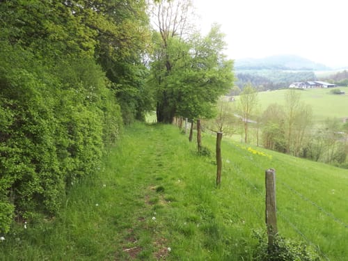 Diemeltal zwischen Helminghausen und Padberg