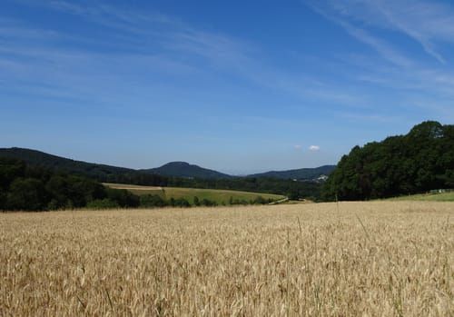 MTB-Tour: Birkenau - Zotzenbach - Albersbach
