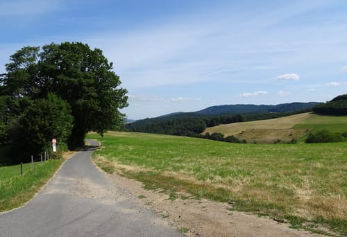 Rundwanderweg Mörlenbach Am Weihklingen 3: Geisenbach-Weg