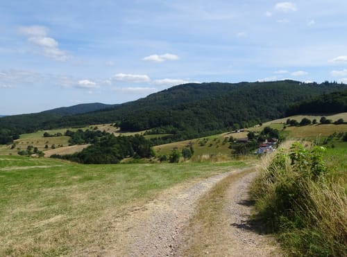 MTB-Tour: Birkenau - Zotzenbach - Albersbach