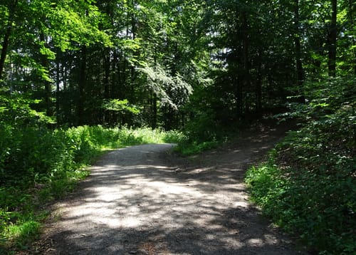 MTB-Tour: Birkenau - Zotzenbach - Albersbach