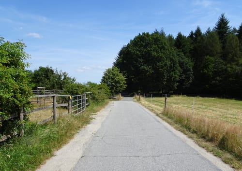 MTB-Tour: Birkenau - Zotzenbach - Albersbach