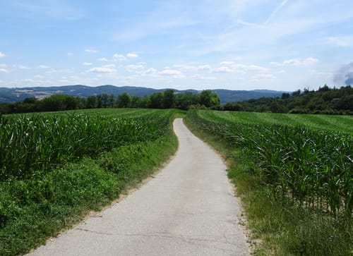 Heppenheim- Hemsbach