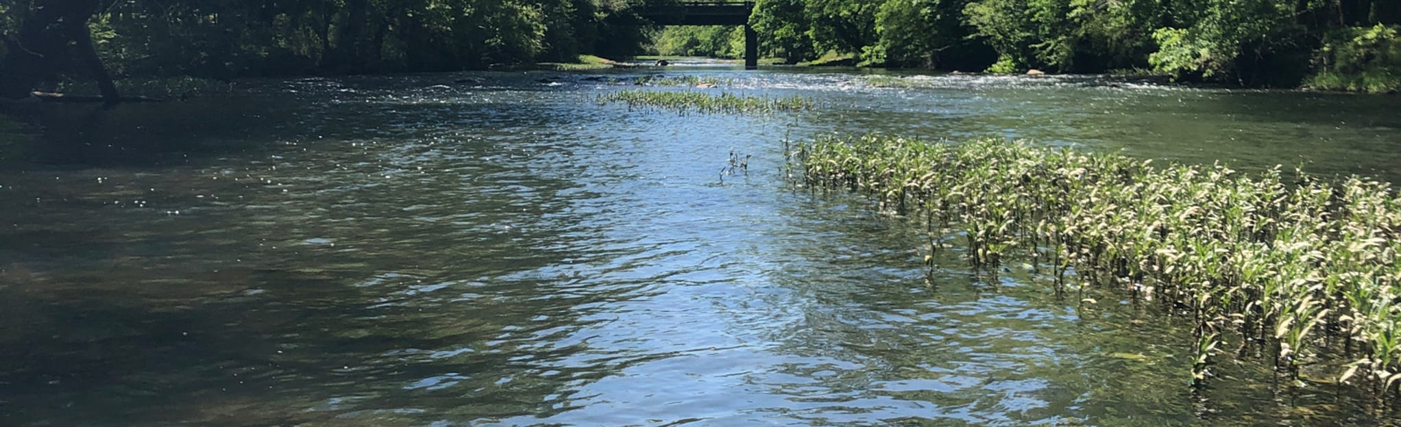 Big Cedar Creek Paddle Route, 9 Reviews, Map AllTrails