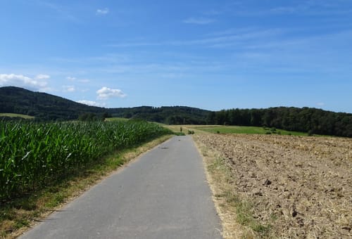 MTB-Tour: Birkenau - Zotzenbach - Albersbach