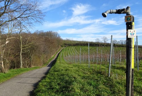 Am Letzenberg