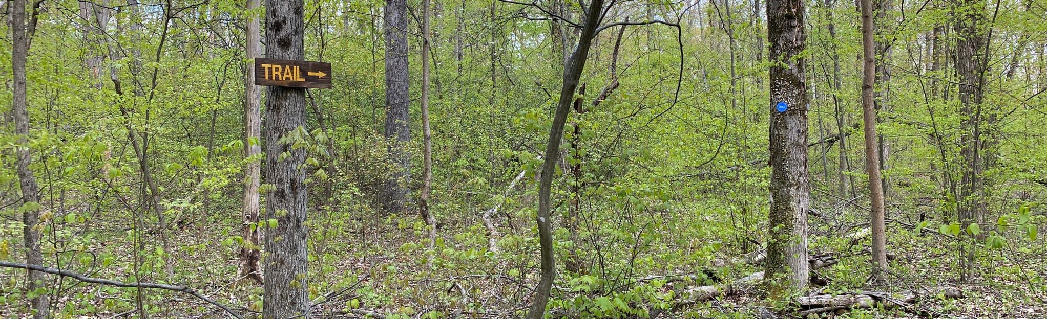 Freedom Trail 122 Reviews, Map New York AllTrails