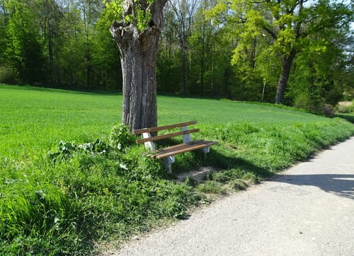 MTB: Funkturm Dühren und Steinsberg