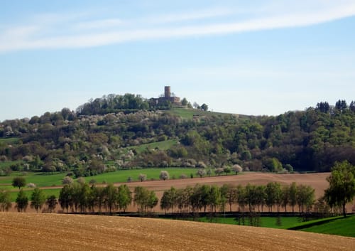 MTB: Funkturm Dühren und Steinsberg