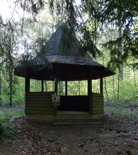 MTB: Funkturm Dühren und Steinsberg