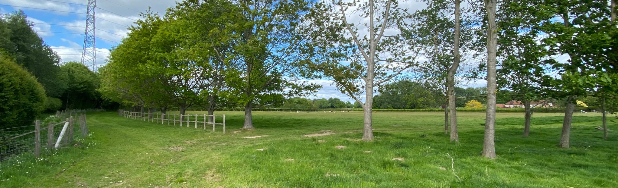 Brazenhead Lane and Pamber End - Hampshire, England | AllTrails