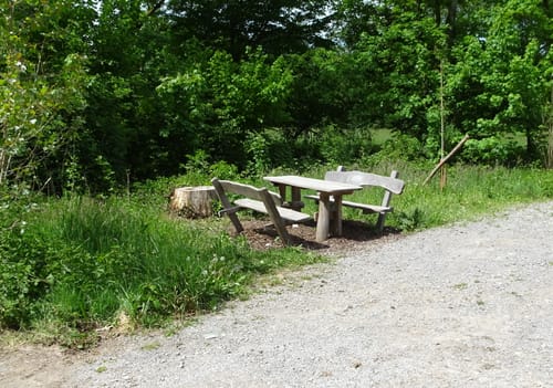 MTB: Unterschwarzach