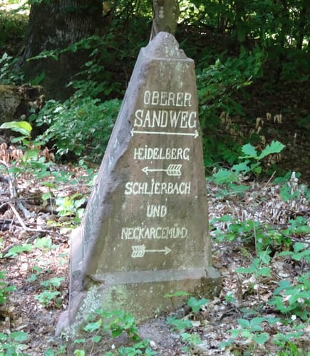 MTB Königstuhltour über Meckesheim